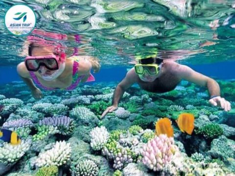 tour 3 đảo nha trang