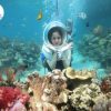 tour nha trang