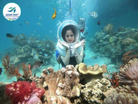 tour nha trang