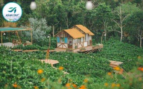 Donki Land Đà Lạt