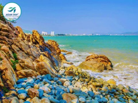 tour bình định phú yên