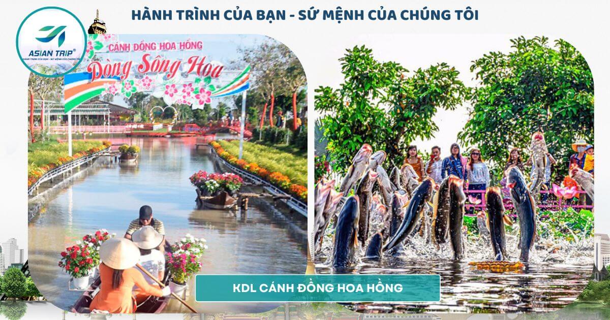 TOUR LÀNG HOA SA ĐÉC | VƯỜN QUÝT HỒNG LAI VUNG |【1NGÀY】 3 vườn hoa hồng sa đéc