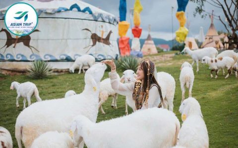Mongo Land Đà Lạt