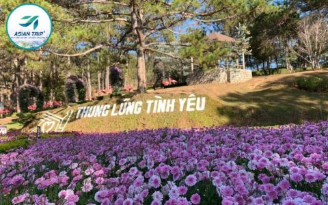 Thung Lũng Tình Yêu Đà Lạt