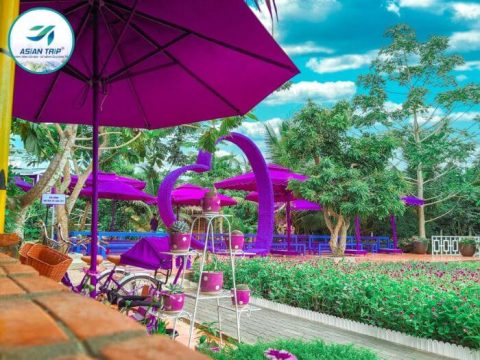 Tour Cần Thơ 1 Ngày