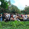 Tour Cần Thơ 1 Ngày