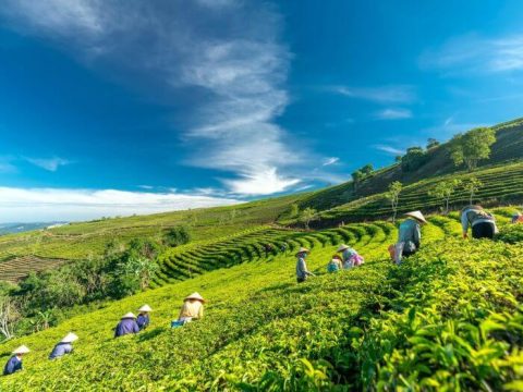 Tour Hồ Tà Đùng 2 Ngày 2 Đêm