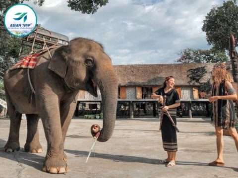 Tour Tây Nguyên