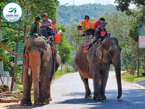 Tour Tây Nguyên