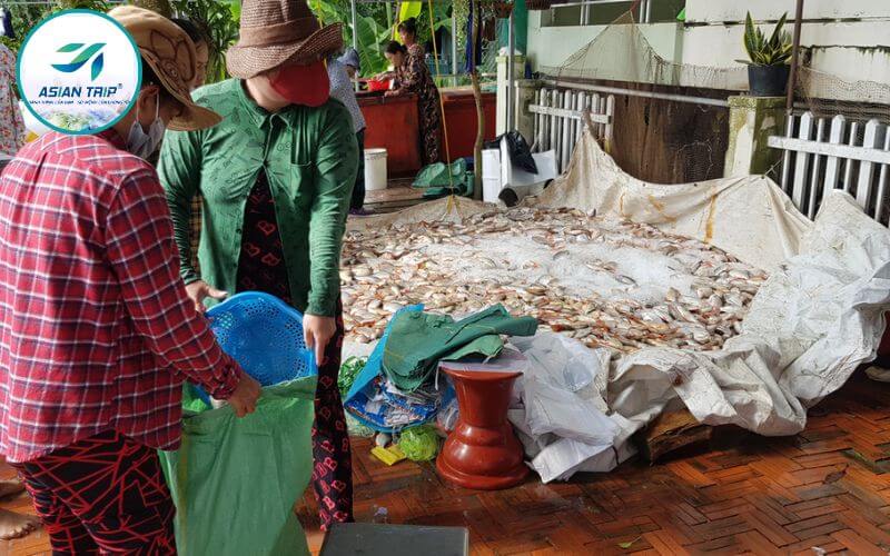 Vì Sao Nên Đến Làng Bè Cá Châu Đốc 4 lang be ca chau doc 4