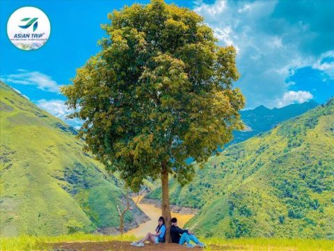 Tour Hà Giang