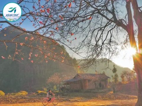 Tour Hà Giang