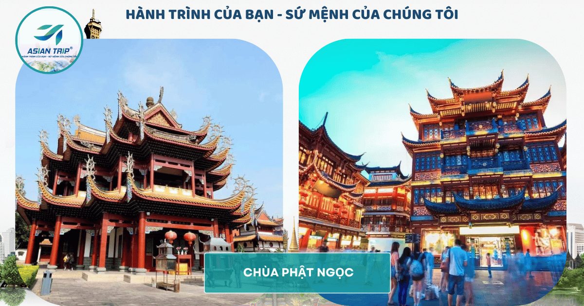 TOUR THƯỢNG HẢI | VÔ TÍCH | Ô TRẤN | HÀNG CHÂU【5N4Đ】 5 CHUA PHAT NGOC