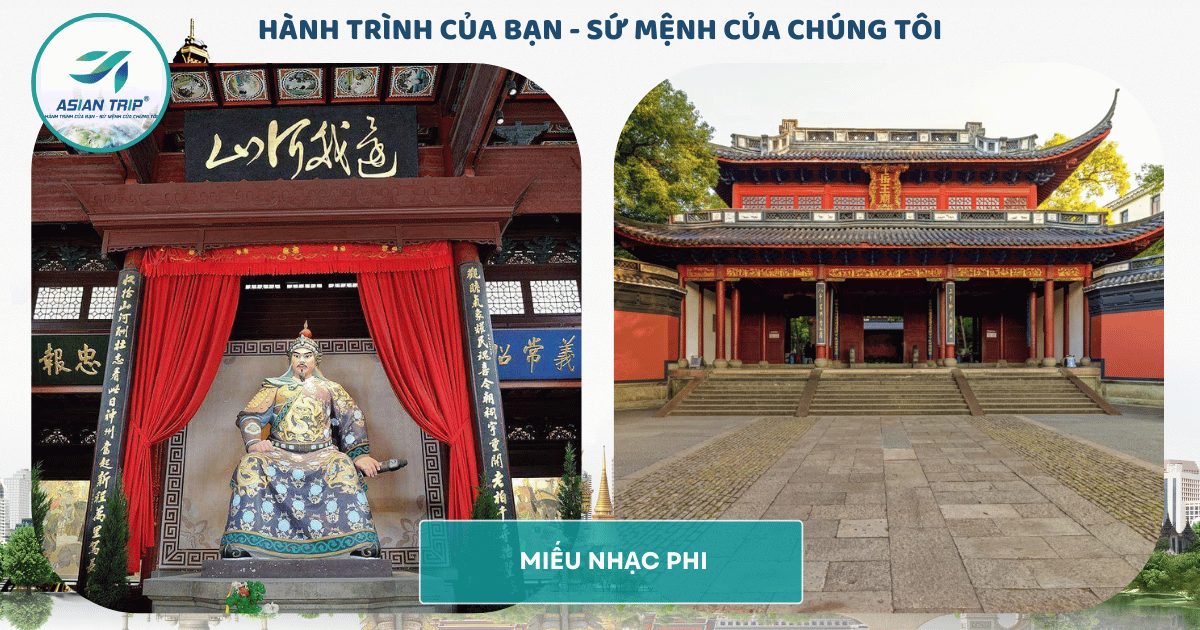 TOUR THƯỢNG HẢI | VÔ TÍCH | Ô TRẤN | HÀNG CHÂU【5N4Đ】 3 MIEU NHAC PHI