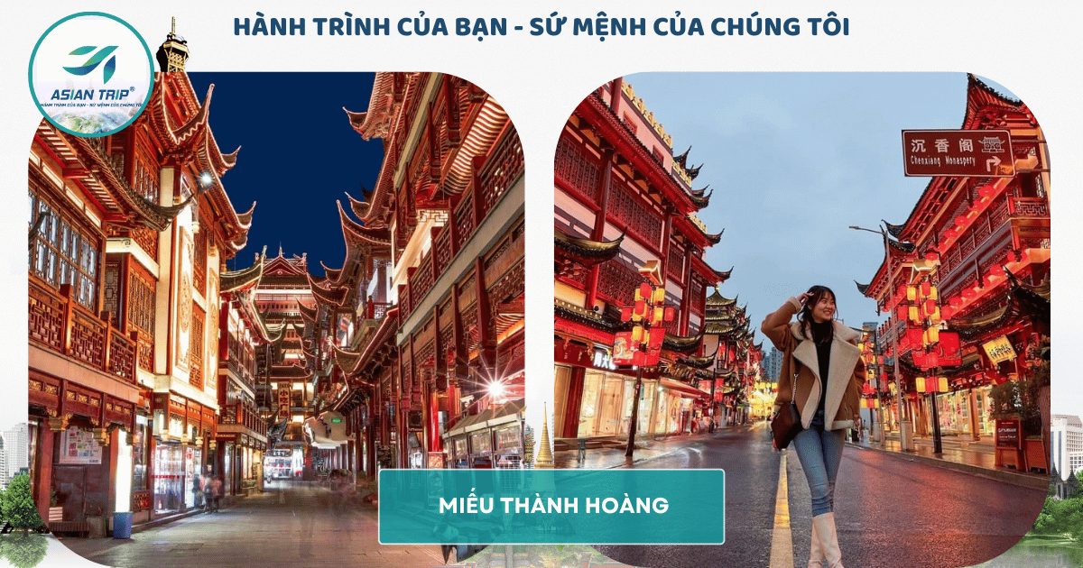 TOUR THƯỢNG HẢI | VÔ TÍCH | Ô TRẤN | HÀNG CHÂU【5N4Đ】 6 MIEU THANH HOANG