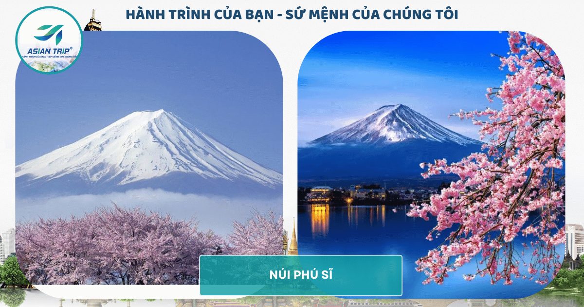 Tour Nhật Bản: Tokyo | Núi Phú Sĩ | Hakone 3 Nui Phu Si
