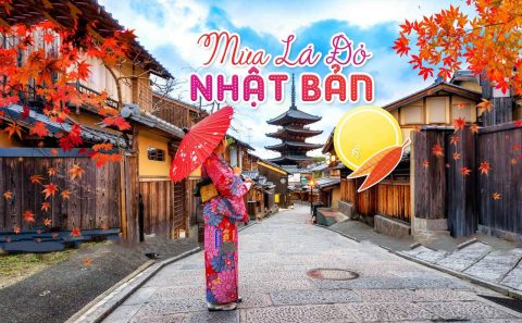 tour nhat ban 1 1